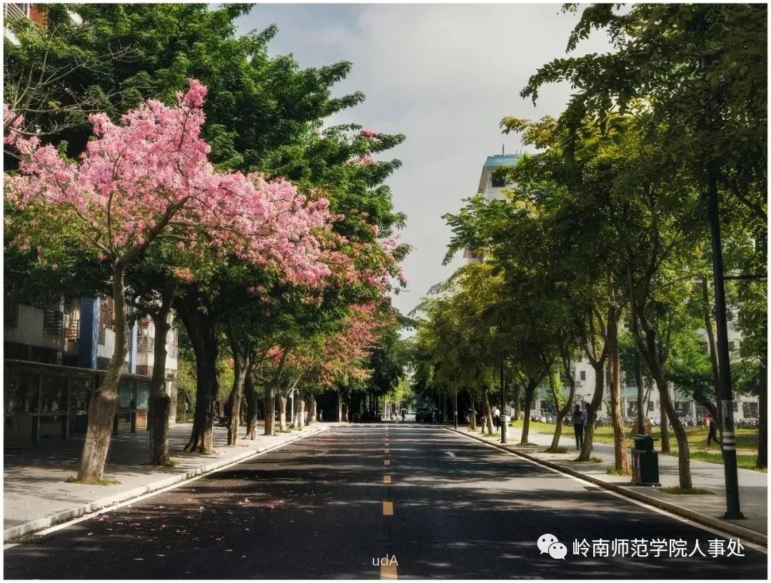 岭南师范学院诚邀优秀青年英才申报国家优青项目（海外）-岭南师范学院人才