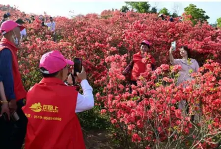 2023年长三角（江苏）首趟旅游专列“开进”温州瑞安-长三角旅游集散中心