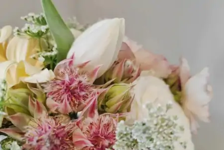 情人节送花，别只想到红玫瑰！-情人节送红玫瑰还是蓝玫瑰