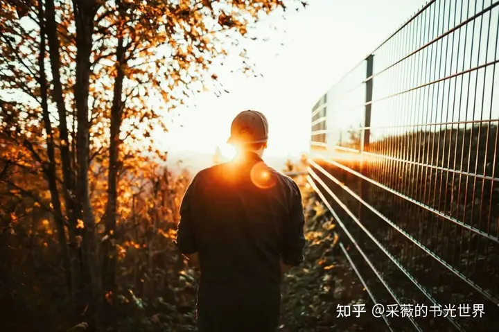 杭州25岁网红摄影师投海身亡：他5000字的遗书，我们都该读读（杭州摄影大师排名前十名）