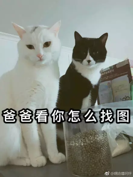 站酷被停更一个月？！最惨的还是设计师，别慌稳住！-站酷平台里面有画速写的吗?