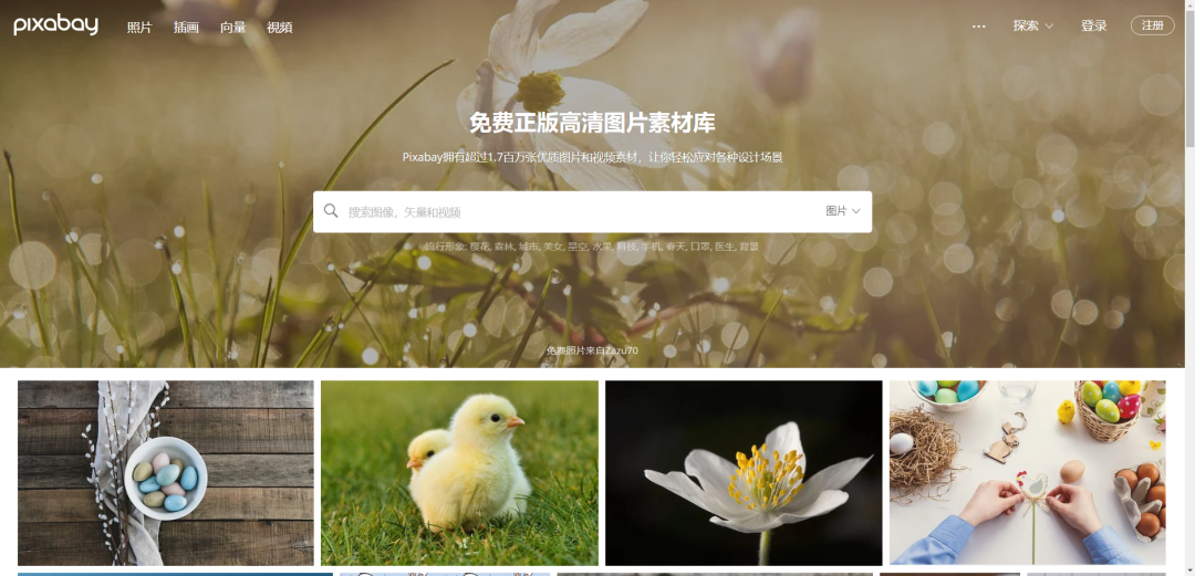 站酷被停更一个月？！最惨的还是设计师，别慌稳住！-站酷平台里面有画速写的吗?