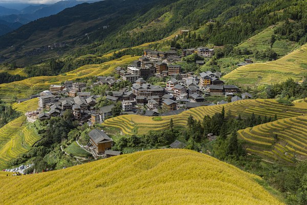 7名村花惊艳变装为家乡代言 网友：为她们的勇敢点赞-村花是哪个女明星