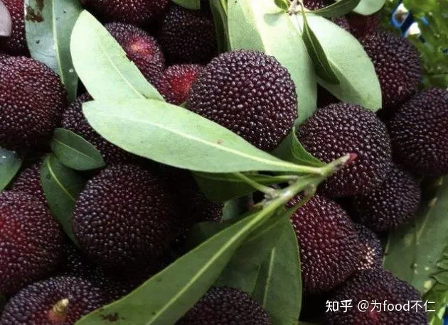 吃杨梅对身体有哪些好处？-吃杨梅的利与弊有哪些