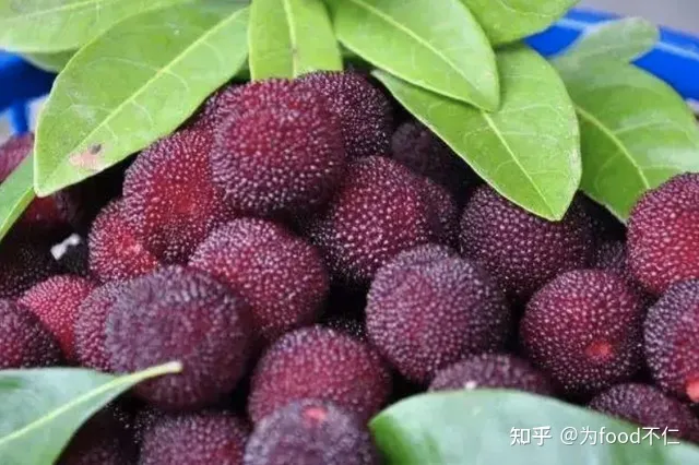 吃杨梅对身体有哪些好处？-吃杨梅的利与弊有哪些