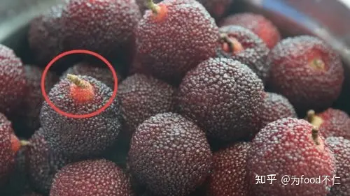 吃杨梅对身体有哪些好处？-吃杨梅的利与弊有哪些