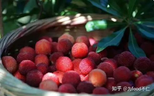 吃杨梅对身体有哪些好处？-吃杨梅的利与弊有哪些