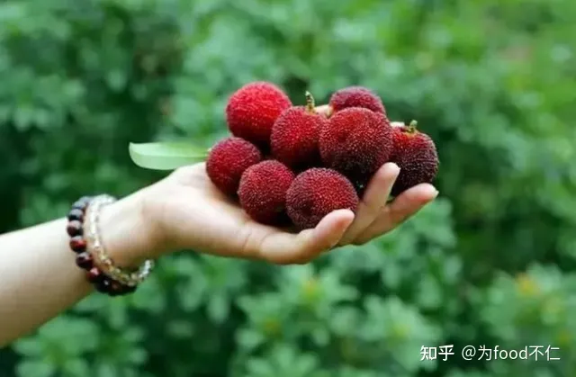 吃杨梅对身体有哪些好处？-吃杨梅的利与弊有哪些