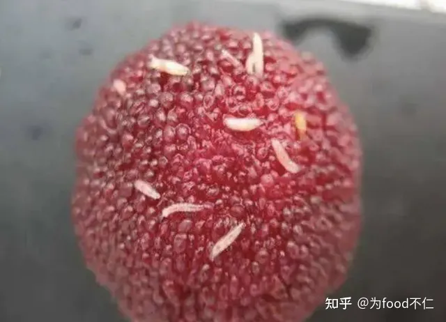 吃杨梅对身体有哪些好处？-吃杨梅的利与弊有哪些