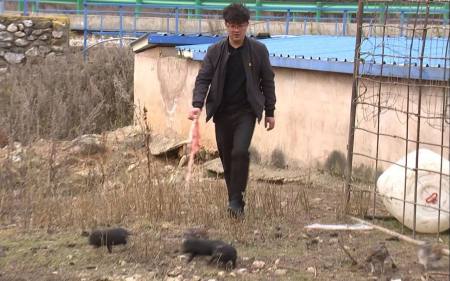 在西北山村做“网红”：教孩子唱歌、帮老乡卖猪（西北小山村）