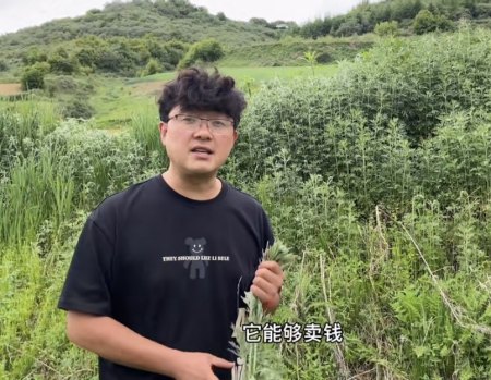 在西北山村做“网红”：教孩子唱歌、帮老乡卖猪（西北小山村）