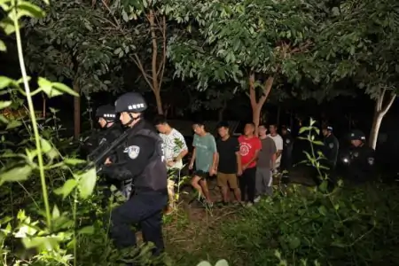 拍案｜十个月抓获千名违法犯罪人员，这起跨国境重特大偷渡案件告破（特大偷渡团伙）