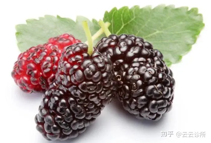 桑葚有哪些功效-孕妇吃桑葚有什么好处
