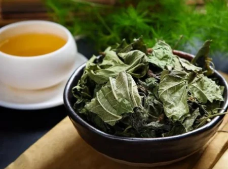 多散步对血管好？医生建议：50岁之后，坚持做这2件事或比运动好-散步对血压的好处