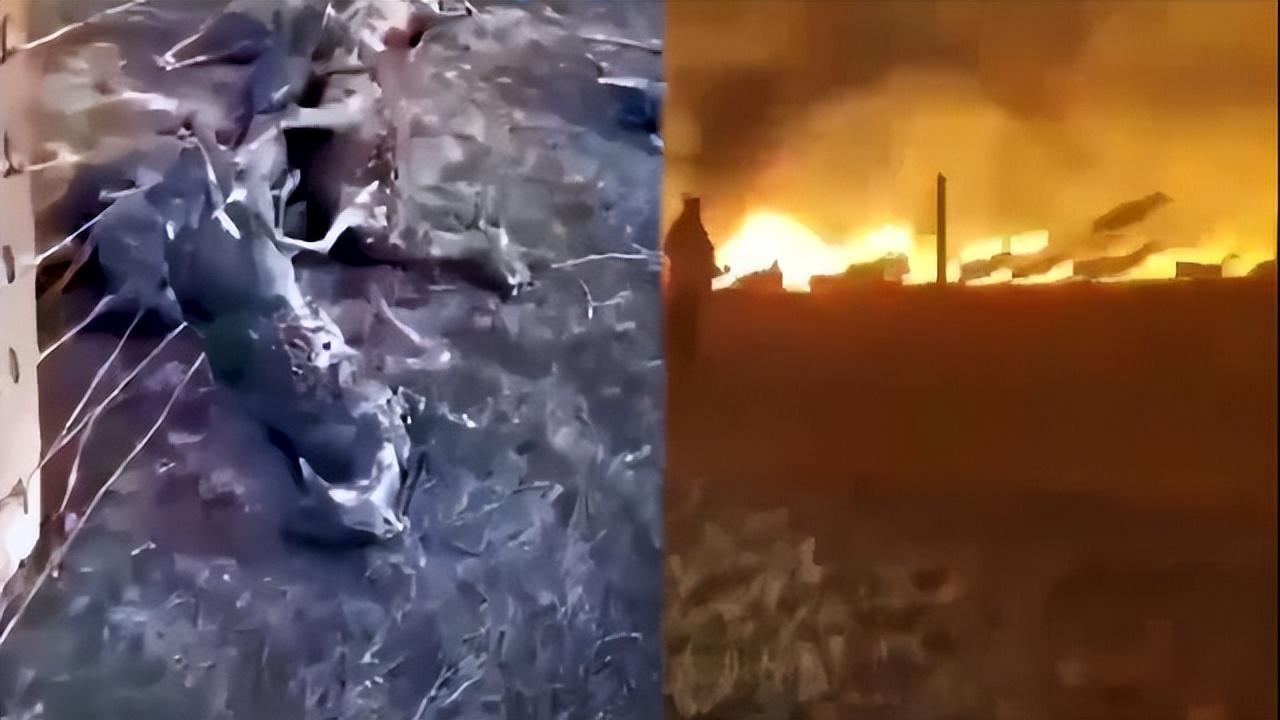中蒙边境草原起火围栏挂满羊焦尸，为何不能把铁丝网打开呢？-中蒙边境自驾游最佳路线