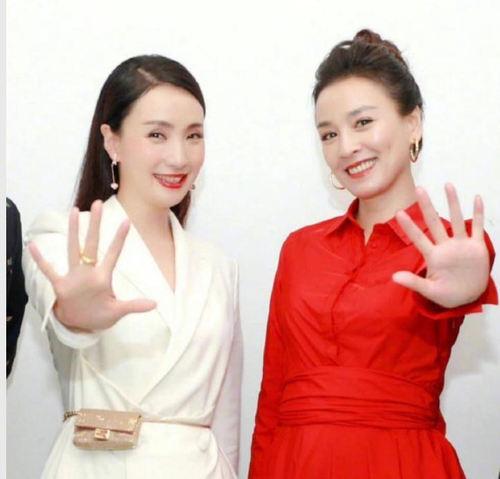 徐峥否认转移8亿资产逃往国外，同时也证明妻子陶虹的清白（徐峥和陶虹怎么好的）