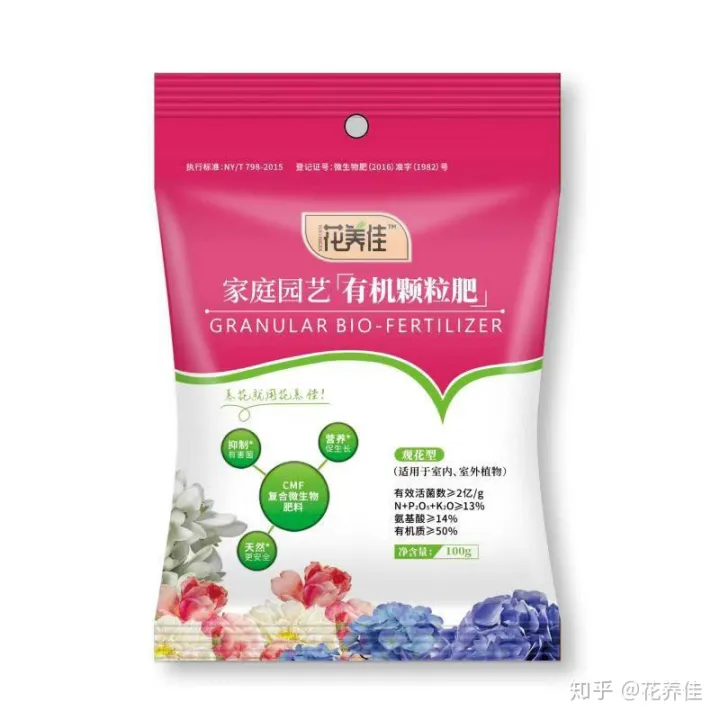 茉莉花的家庭养殖方式及注意事项-茉莉花家庭怎么养