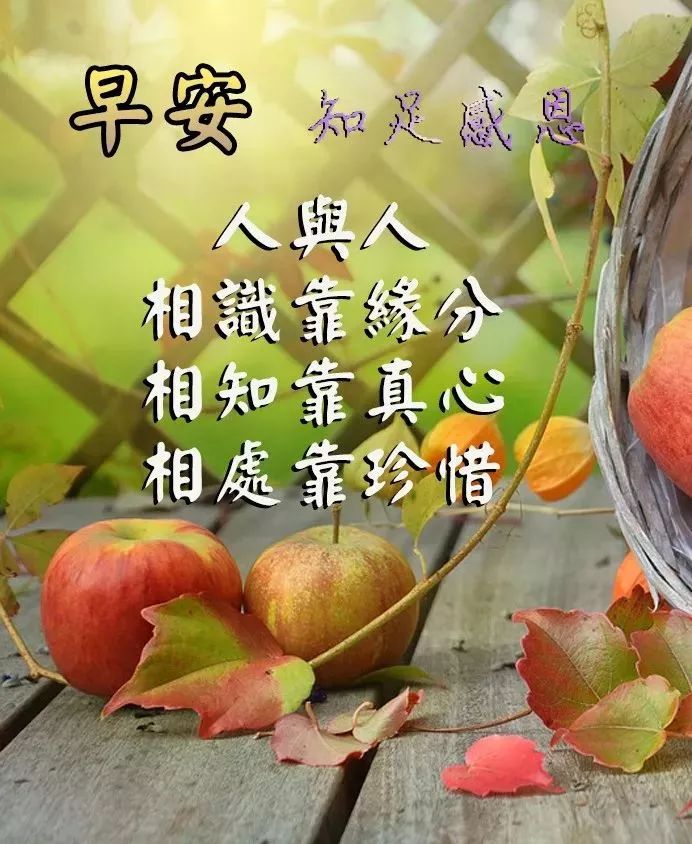 每日群发早上好温馨漂亮祝福语美图，早安带字带祝福语图-群发早上祝福语