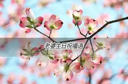 老婆生日祝福语大全-老婆生日祝福语简短精辟