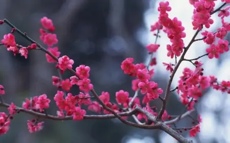 老婆生日祝福语大全-老婆生日祝福语简短精辟