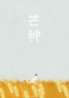 【二十四节气】之芒种-二十四节气芒种的含义是什么