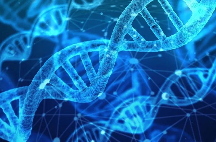 基因的惊人力量：我们为何爱我所爱-黑人的基因优势在哪里