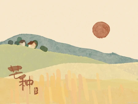 芒种节气的寓意和传统-节气芒种是什么意思