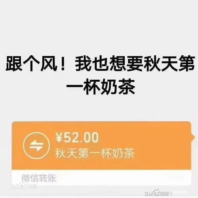 简单又特别的羊奶奶茶怎么做？羊奶传奇送你 秋天的第一杯奶茶-羊奶奶茶的功效