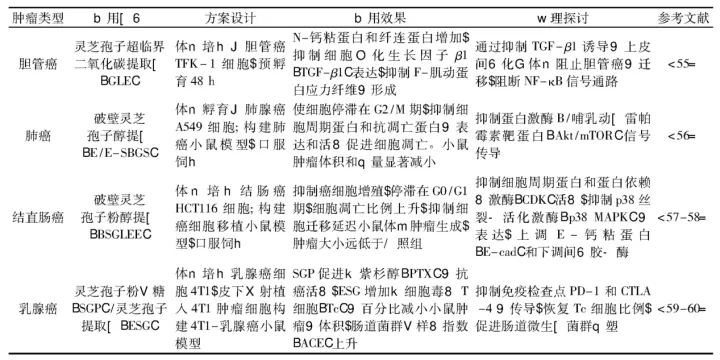 灵芝孢子粉的功效和作用梳理-灵芝孢子主治与功效