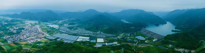 免疫力之年，不少名中医案头都有这味“药”-中医案例大全