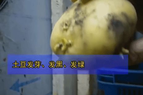 连上三年央视黑榜，一号难求！四川最没底线网红店，为何越骂越火（四川网红人员年收入多少）