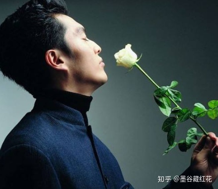 藏红花的功效与作用 吃藏红花有什么好处和禁忌？-藏红花的功效与作用禁忌症用禁忌