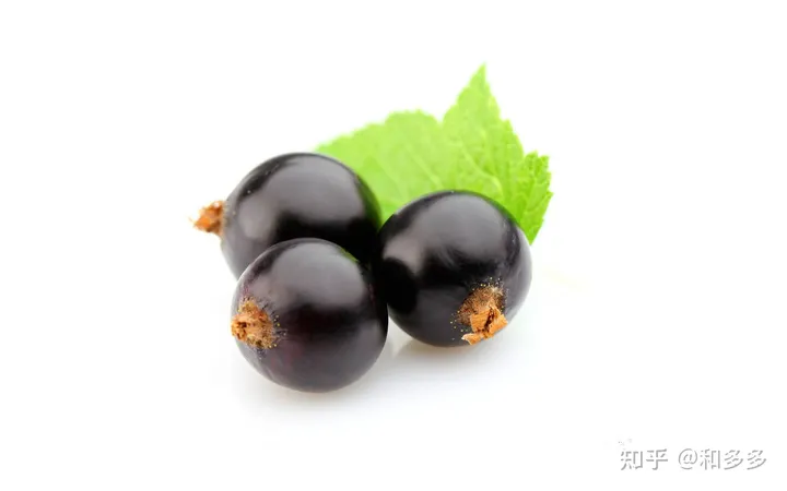 男人吃什么可以增强体力？可以补肾？-男性吃什么食补提高性功能时间长