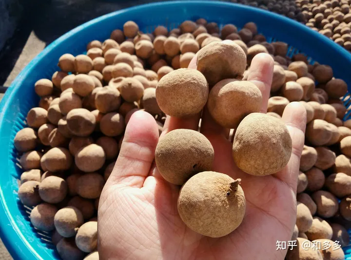 男人吃什么可以增强体力？可以补肾？-男性吃什么食补提高性功能时间长