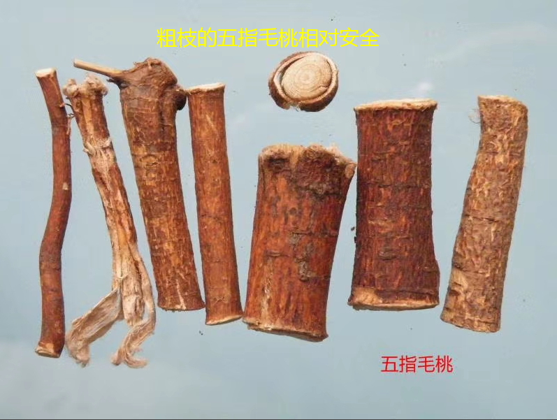 饮“五指毛桃汤”后中毒晕眩？警惕混入这东西，有致命危险-五指毛桃汤禁忌