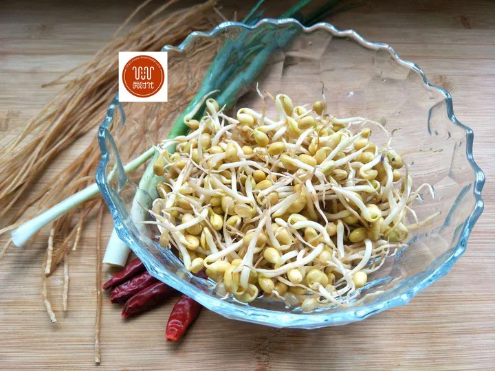 豆芽和它天生是一对，简单一炒，好吃死了，三天不吃馋的慌！-豆芽和什么炒比较好吃视频一下