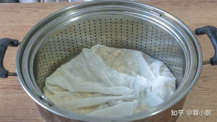 想吃豆芽不用买，教你在家自己做，做法简单靠谱，发芽快不腐烂-自己动手发豆芽的做法