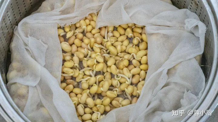 想吃豆芽不用买，教你在家自己做，做法简单靠谱，发芽快不腐烂-自己动手发豆芽的做法