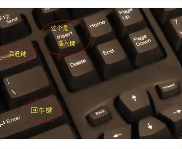 【电脑入门】各个键位的介绍，电脑初学者必看！-电脑上各个键盘的讲解