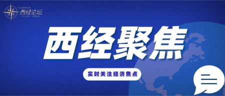 华为上调2023年手机出货量目标至4000万部一事反映出什么信息？-2021年华为手机出货量一季度
