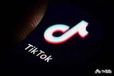 TikTok短视频带货怎么做？看完你就明白了！-TikTok短视频(海外版)