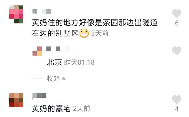 51岁黄绮珊近况曝光，离婚三次至今单身，前夫早已娶小22岁娇妻！-黄绮珊出名吗