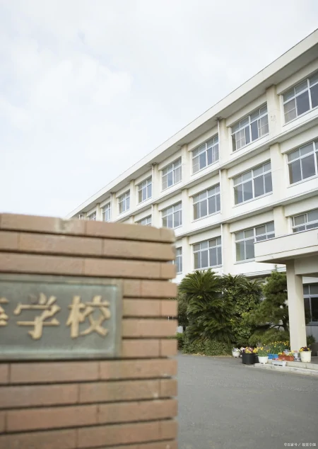 回顾：“数学之神”韦东奕，毅然拒绝哈佛邀约，30岁成为北大教师-数学大神韦东奕简介图片