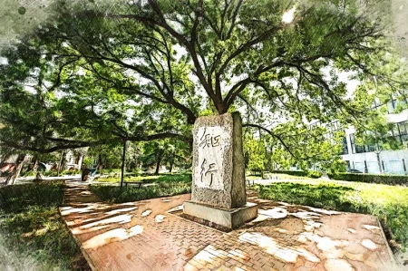 大学生成绩不好，感到迷茫怎么办？学习只能靠坚持不懈、厚积薄发-大学成绩差考研成功的概率大吗