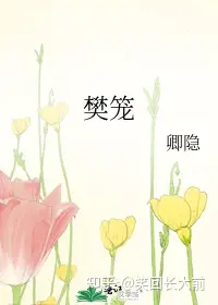 书荒必备！高质量小说推荐！-口碑超好的小说