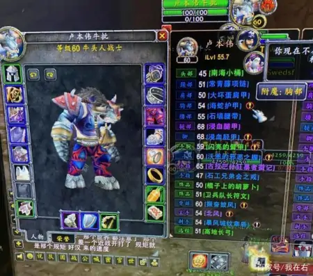 魔兽怀旧服4700血战士金团当酱油T，还要工资补贴惹争议-魔兽世界战士回血饰品怎么获得