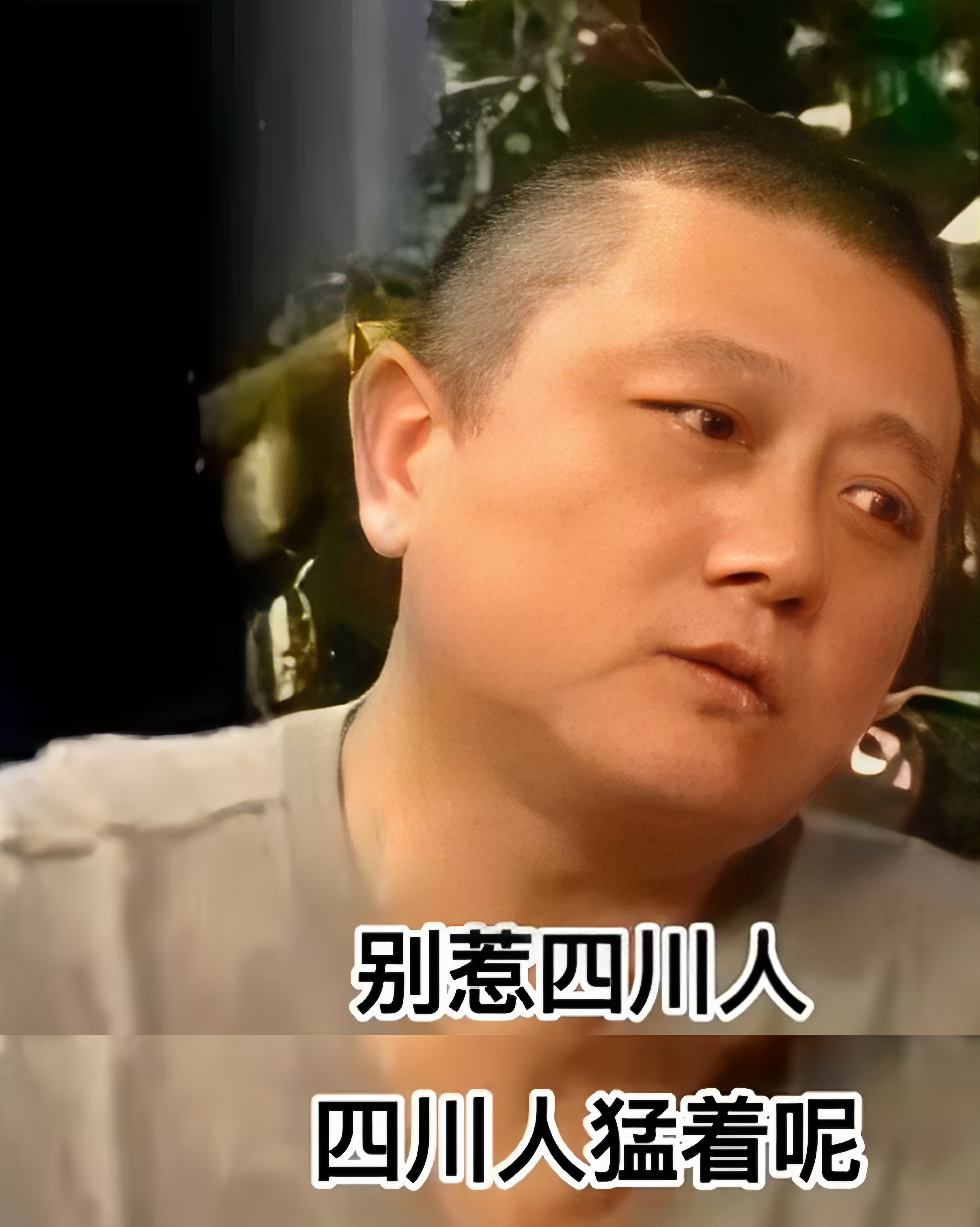 刀郎发新歌，杨坤，汪峰都受牵连，王朔：别惹四川人-刀郎翻唱