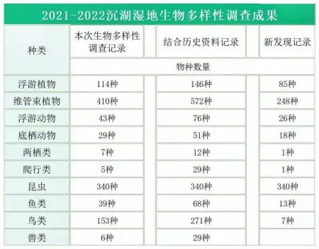 武汉这里，新发现739个物种！-武汉市发现