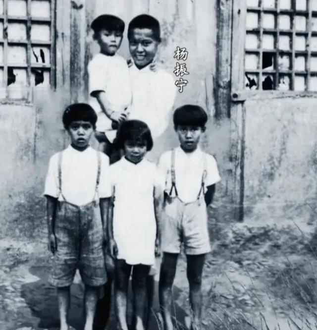 翁帆说出嫁给杨振宁的内幕：我照顾他下半生，他给我一片宁静-翁帆嫁给杨振宁多少年