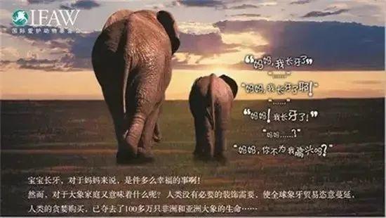 6月5日｜世界环境保护日-6月5日世界环境保护日手抄报内容